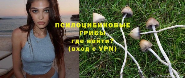 COCAINE Инсар