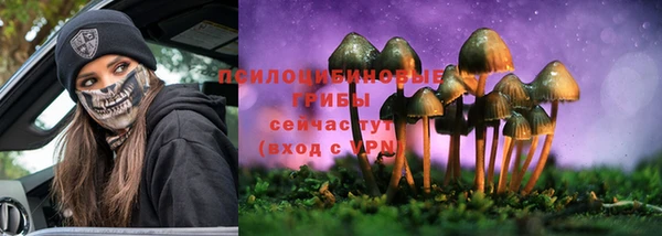 COCAINE Инсар
